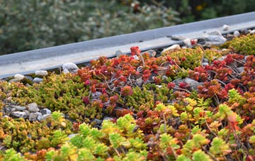 the cost of Rowthorne green roof installation