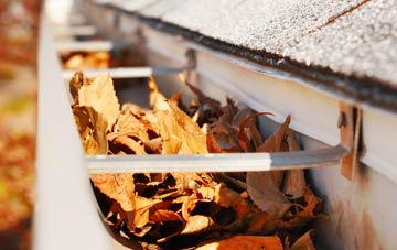 Rowthorne gutter cleaning companies