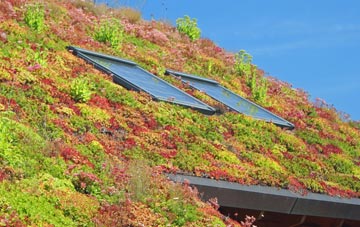 Rowthorne living roof systems